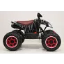 Квадроцикл RiverToys T777TT-SPIDER - Фото 3