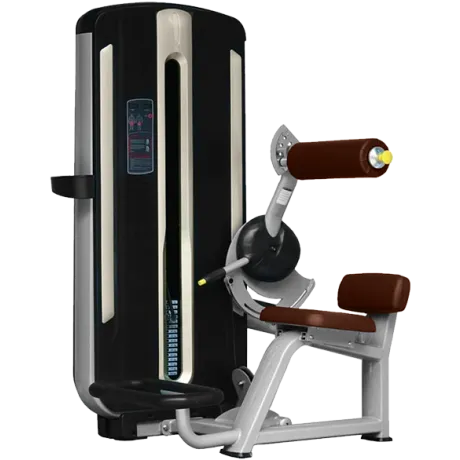 Разгибание спины BRONZE GYM MNM-009